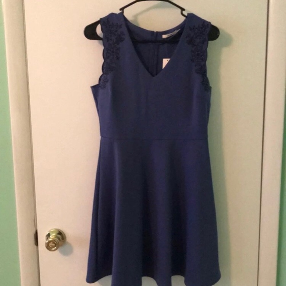 Francesca’s Blue Dress